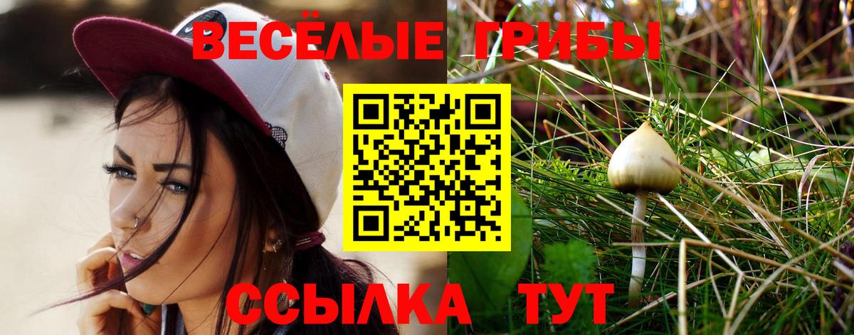 Галлюциногенные грибы GOLDEN TEACHER  Псилоцибиновые грибы MAGIC MUSHROOMS  Вход с VPN  Первоуральск 
